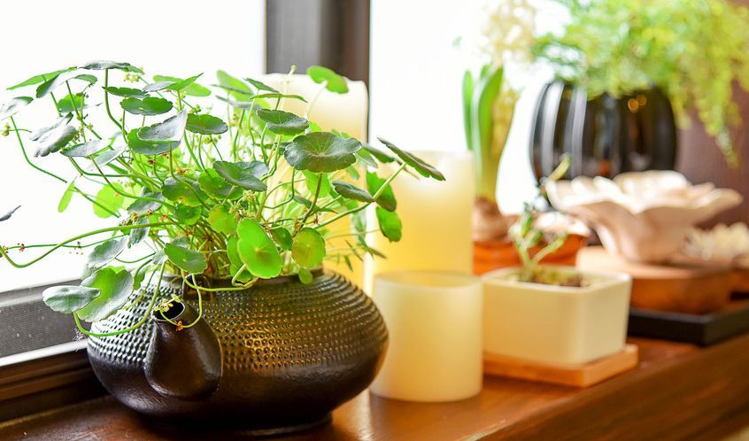 加入電商代運(yùn)營的原因是