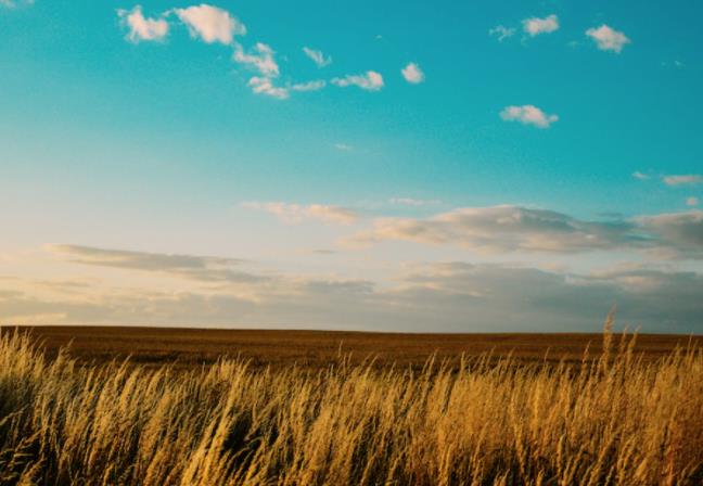 上海短視頻代運(yùn)營(yíng)公司如何構(gòu)建私域流量 上海短視頻代運(yùn)營(yíng)公司如何構(gòu)建私域流量