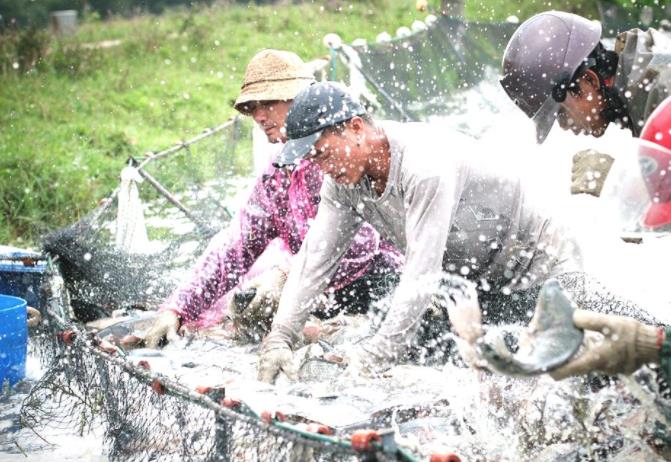 水產(chǎn)養(yǎng)殖品牌的營銷策略方案 水產(chǎn)養(yǎng)殖品牌的營銷策略方案