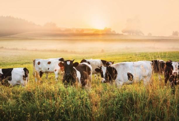 營銷策略包括哪些方面 營銷策略包括哪些方面