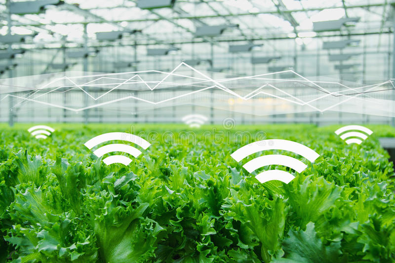 互聯(lián)網(wǎng)農(nóng)業(yè)品牌定位應(yīng)該找哪些人來做？