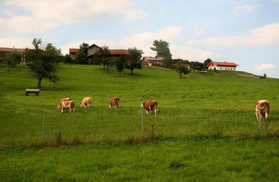 要想做好農(nóng)業(yè)品牌定位：這三大要素不能缺少！