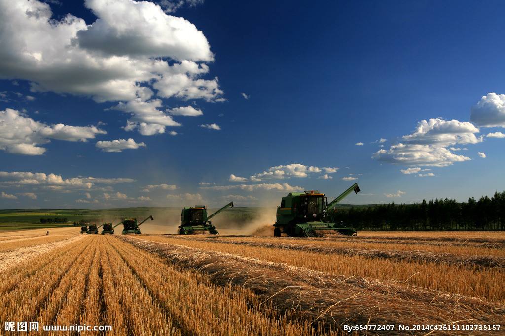 農(nóng)業(yè)品牌策劃多久能成功呢？