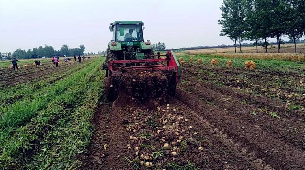 農(nóng)業(yè)品牌策劃需要長期做嗎？