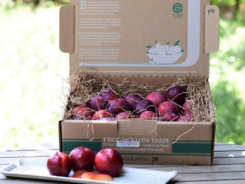 農(nóng)產(chǎn)品水蜜桃包裝設(shè)計欣賞