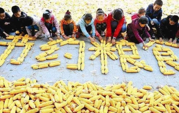 制止餐飲浪費(fèi)問(wèn)題從餐飲品牌店做起