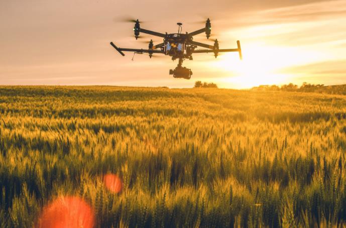 農(nóng)業(yè)發(fā)展戰(zhàn)略策劃 農(nóng)產(chǎn)品品牌策劃設計公司