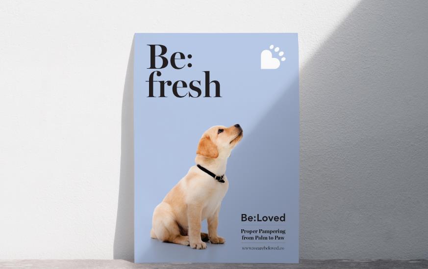 打造寵物護(hù)理品牌