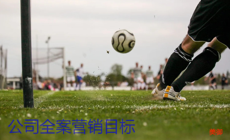 公司全案營(yíng)銷目標(biāo)