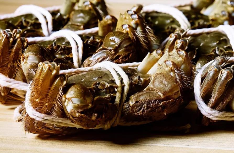 陽(yáng)澄湖大閘蟹品牌全案策劃