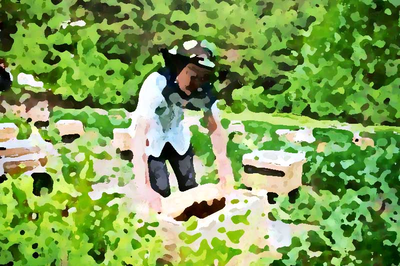 專業(yè)的農產品全案策劃企業(yè)所具備的三大因素