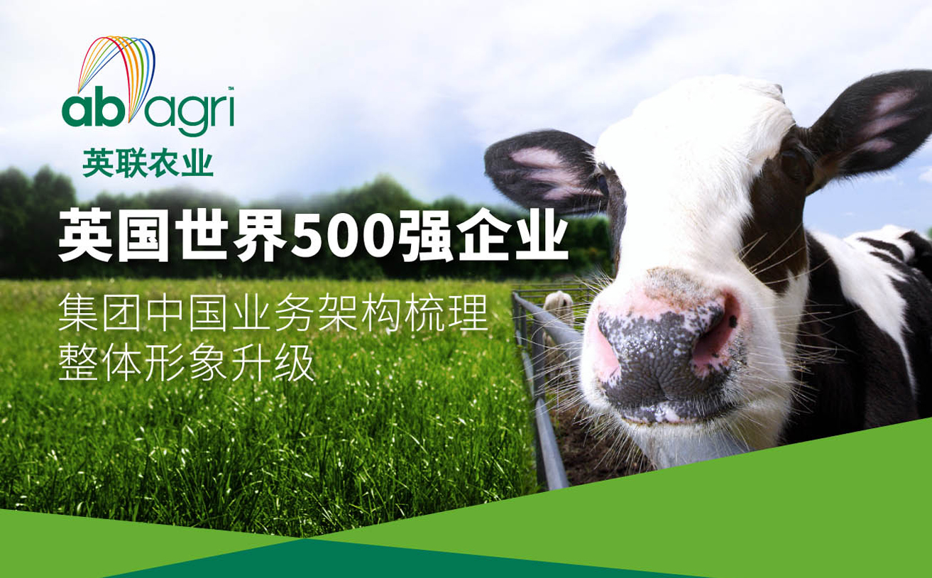 農業(yè)品牌全案策劃