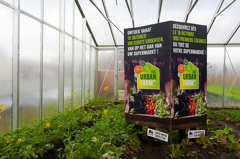 農業(yè)品牌設計_時尚的農業(yè)品牌設計