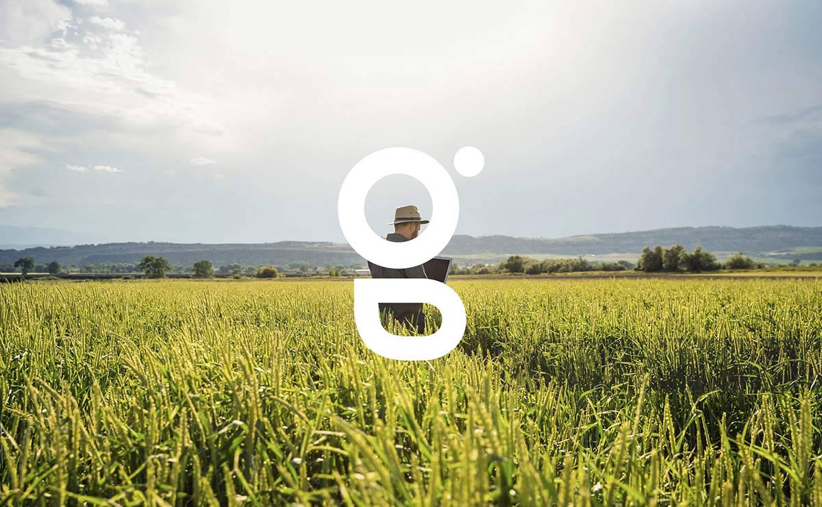 農(nóng)業(yè)品牌VI設(shè)計