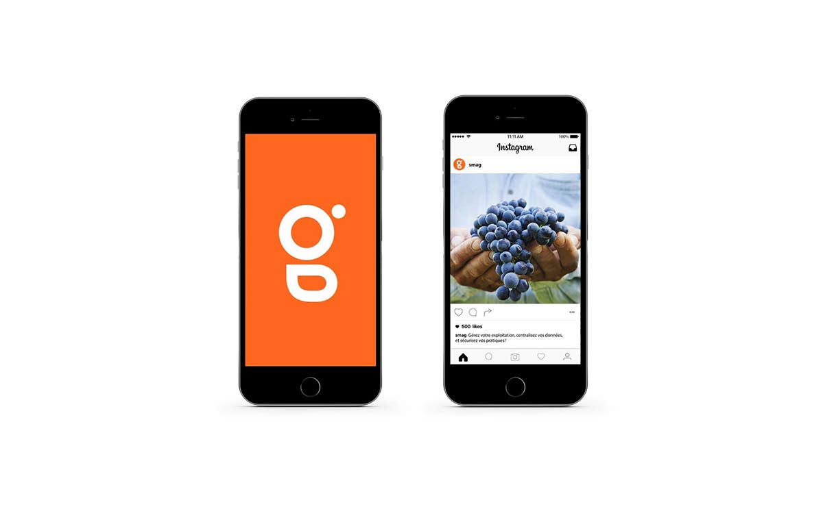 農(nóng)業(yè)品牌VI設(shè)計