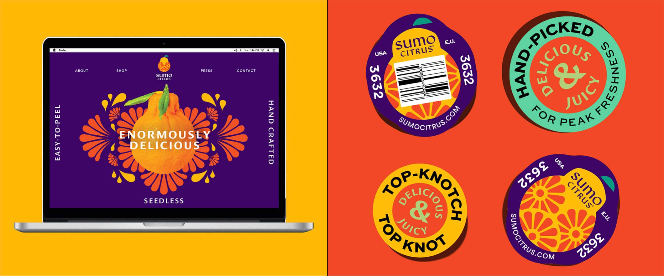 水果品牌設(shè)計(jì)