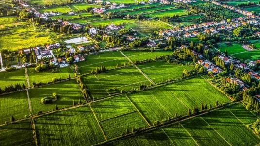 如何做好農業(yè)形象升級？