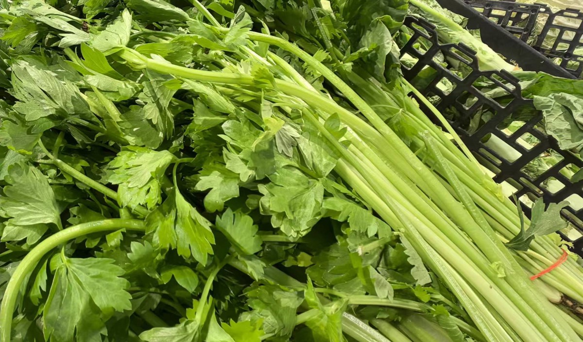 蔬菜農(nóng)產(chǎn)品如何制定品牌定位戰(zhàn)略 蔬菜農(nóng)產(chǎn)品如何制定品牌定位戰(zhàn)略