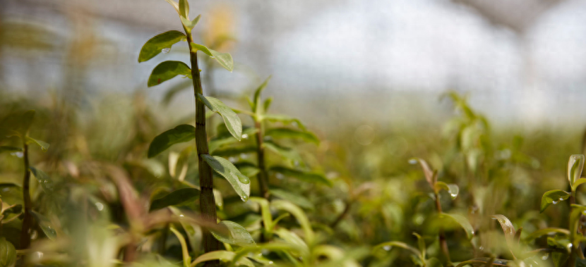 651ab438fa854e6e8f1e1f8b9990b6b5~tplv-tt-origin-asy2_5aS05p2hQOe-juW-oeaImOeVpeWSqOivog==.png 651ab438fa854e6e8f1e1f8b9990b6b5~tplv-tt-origin-asy2_5aS05p2hQOe-juW-oeaImOeVpeWSqOivog==.png