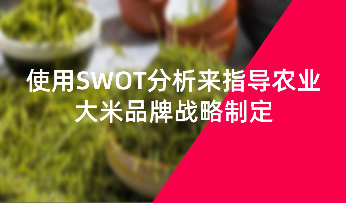 使用SWOT分析來(lái)指導(dǎo)農(nóng)業(yè)大米品牌戰(zhàn)略制定